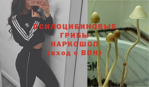 скорость Богданович